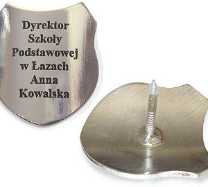 Gwoździe na sztandar i na tablicę